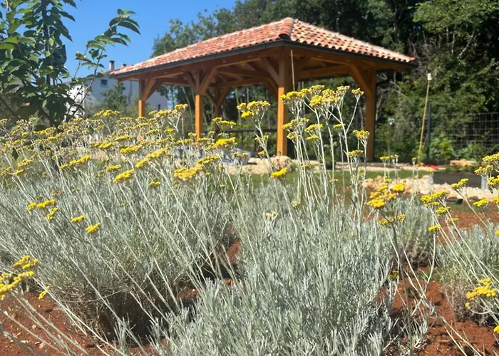 Olea Terra - Mediterranean Comfort & Style * Malinska